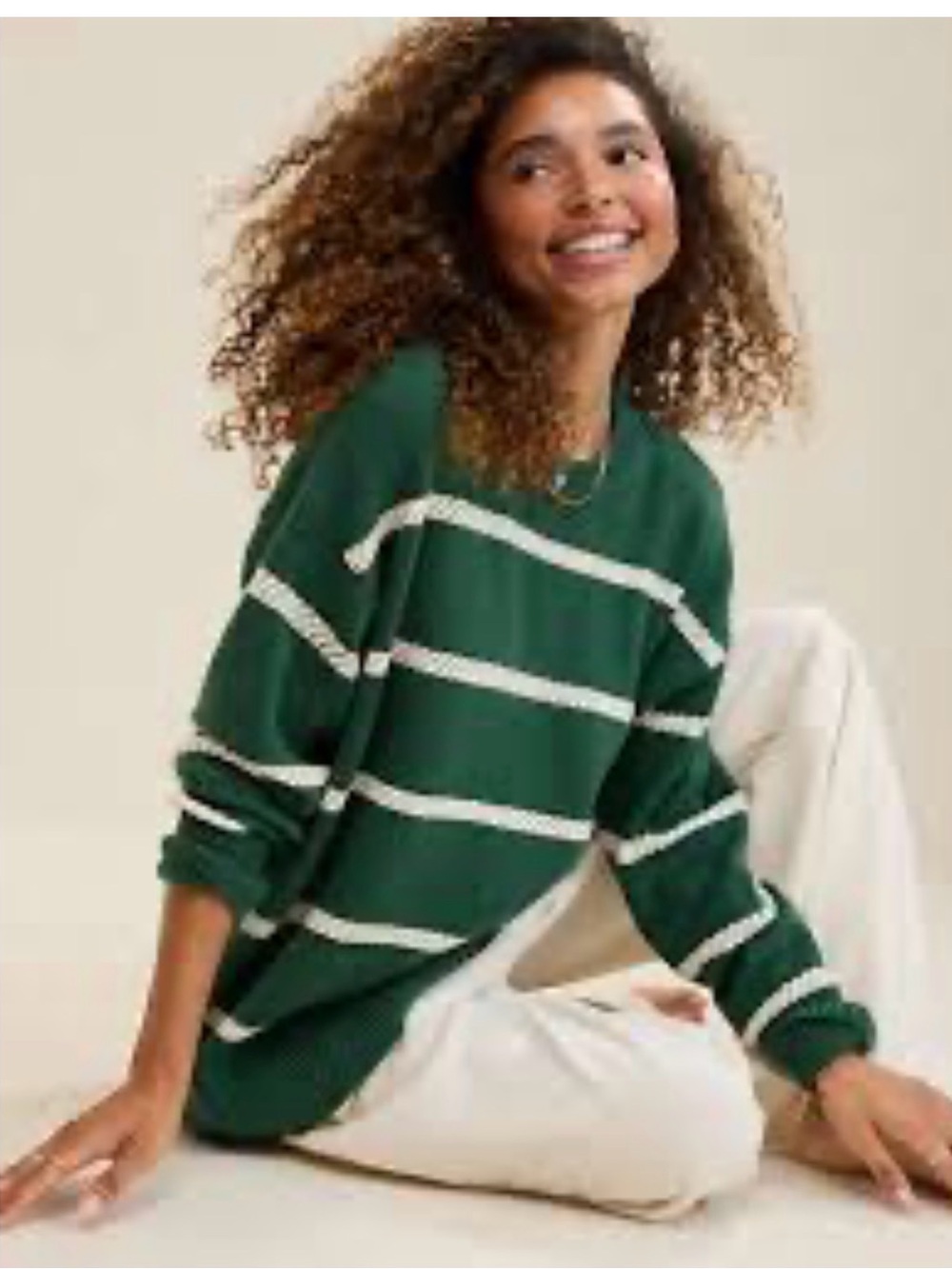 Aerie Green and White Cream Striped Crewneck Sweater - xsmall Fall/Winter